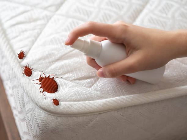 Best Real Estate Pest Inspections  in Ilchester, MD